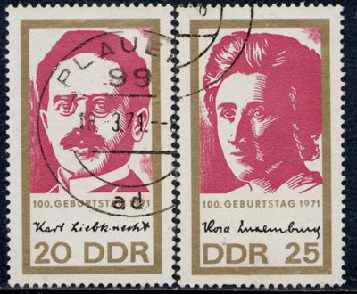 Karl Liebknecht, Rosa Luxemburgo